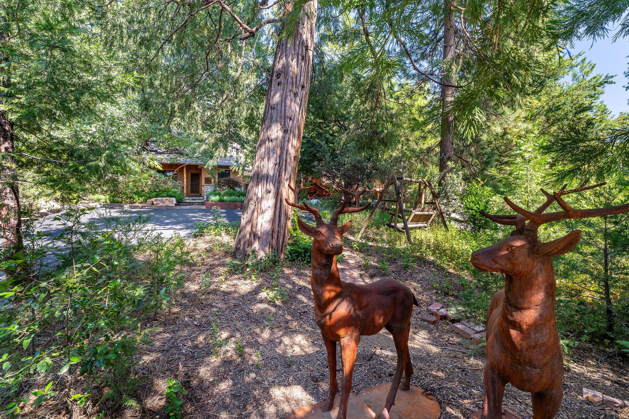 25140 Rim Rock Road Idyllwild, CA 92549 - Photo 11 of 70 25140RimRockRd-4