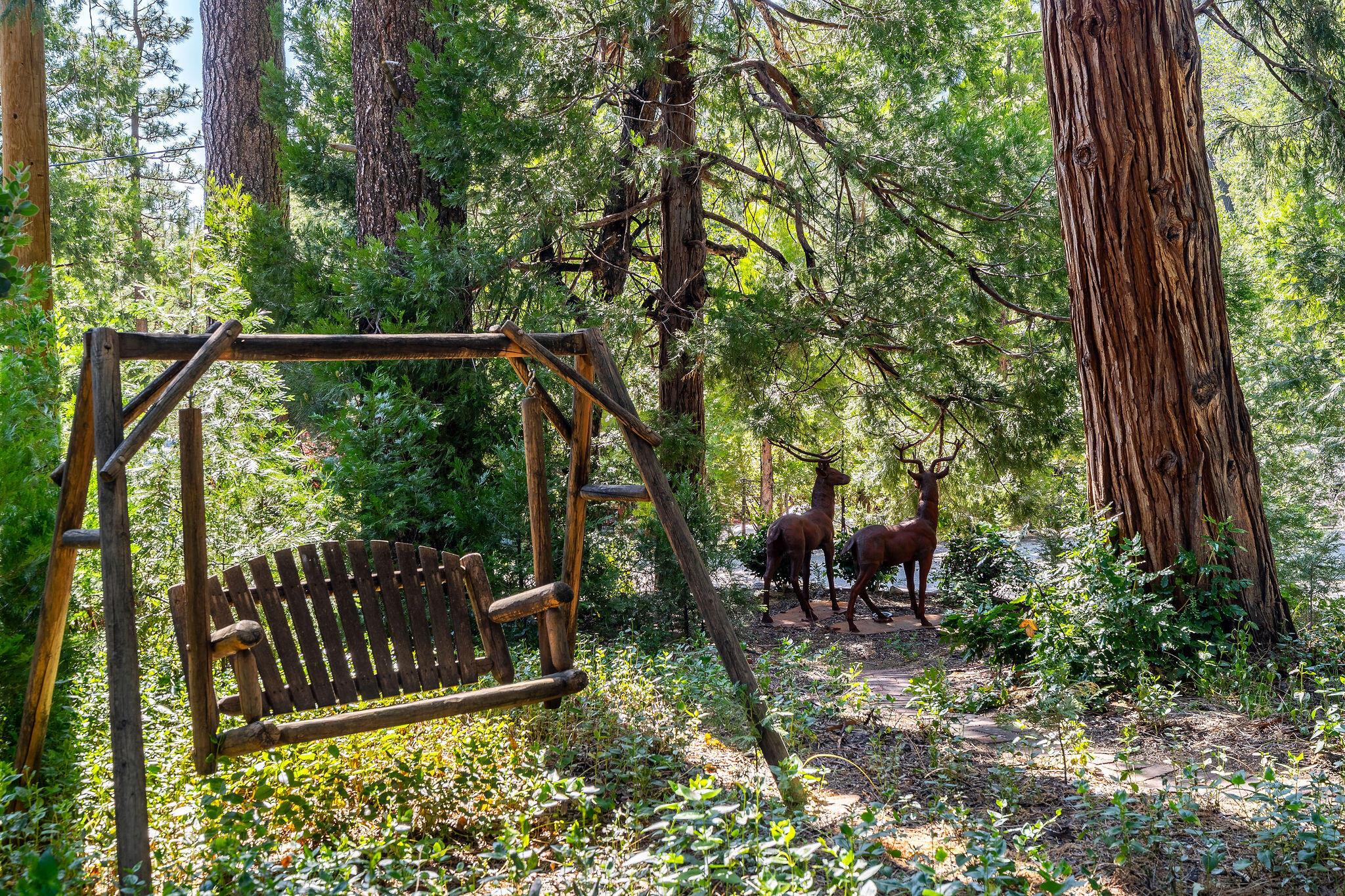 25140 Rim Rock Road Idyllwild, CA 92549 - Photo 13 of 70 25140RimRockRd-3
