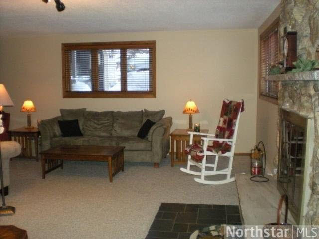 40249 County Road 1 Rice, MN 56367 - Photo 13 of 16