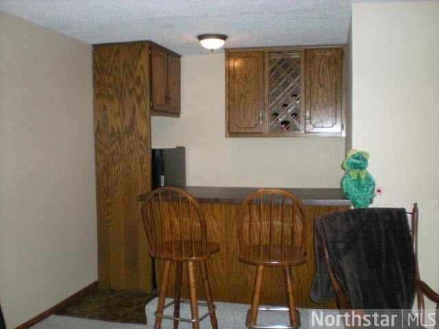 40249 County Road 1 Rice, MN 56367 - Photo 15 of 16