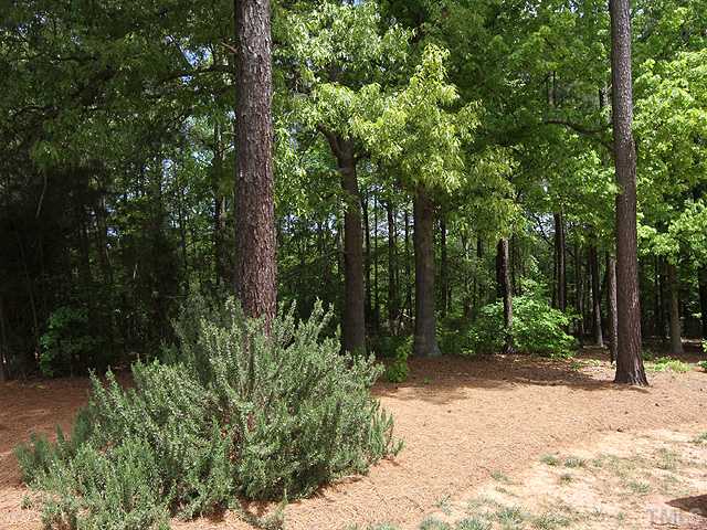 4528 Treerose Way Raleigh, NC 27606 - Photo 21 of 22 Gallery Image 21