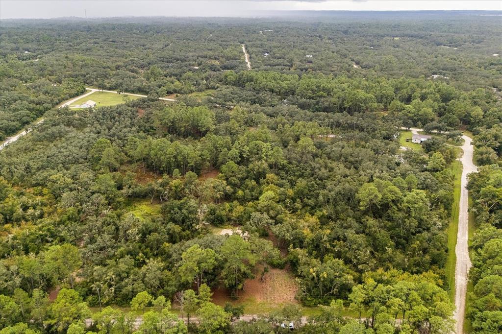 Creekstone Street Webster, FL 33597 - Photo 11 of 19 a view of a city with an ocean