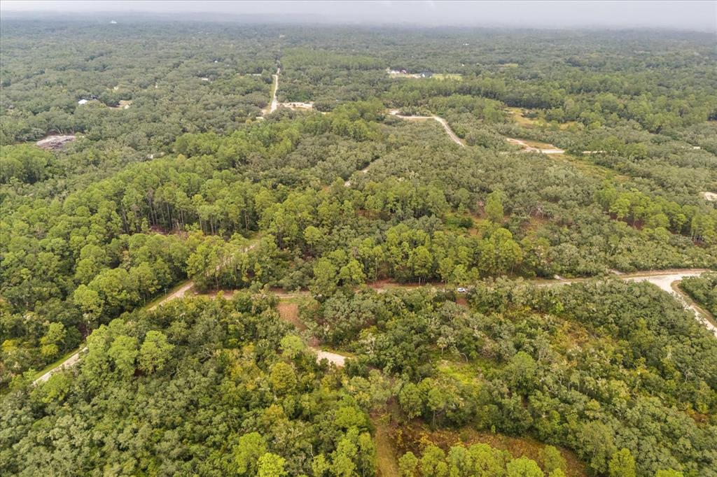 Creekstone Street Webster, FL 33597 - Photo 15 of 19 an aerial view of residential houses with outdoor space and trees