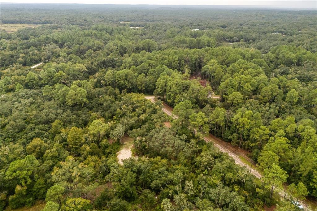 Creekstone Street Webster, FL 33597 - Photo 16 of 19 an aerial view of residential houses with outdoor space