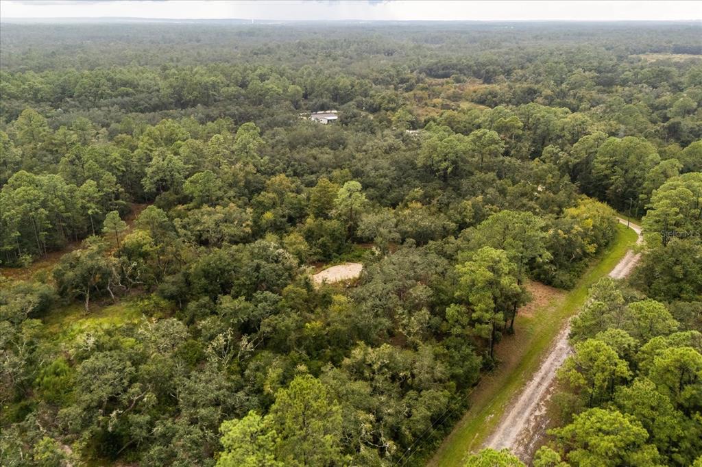 Creekstone Street Webster, FL 33597 - Photo 17 of 19 an aerial view of residential houses with outdoor space and trees