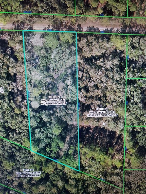 Creekstone Street Webster, FL 33597 - Photo 19 of 19 a view of a garden with a building