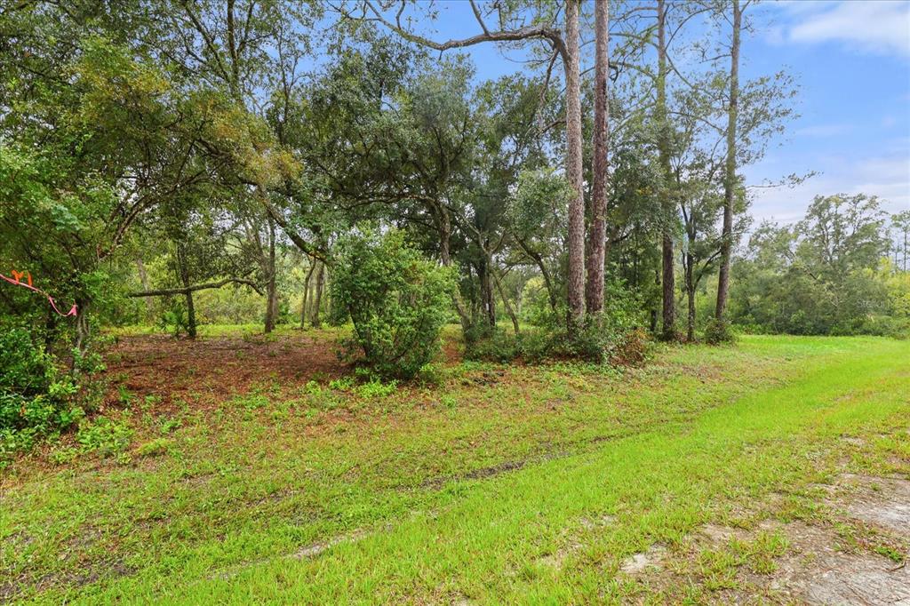 Creekstone Street Webster, FL 33597 - Photo 4 of 19 a view of outdoor space with trees all around