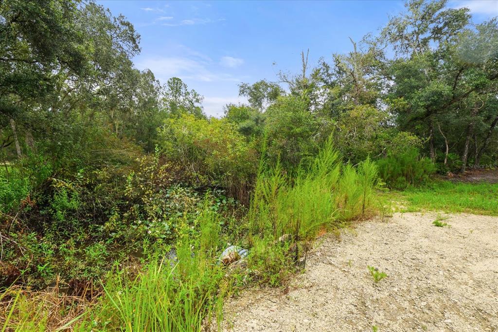 Creekstone Street Webster, FL 33597 - Photo 5 of 19 a view of a yard with plants and a small yard