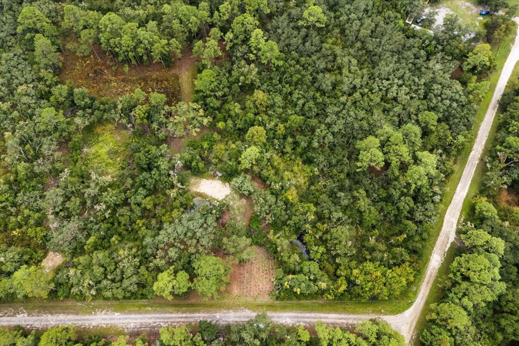 Creekstone Street Webster, FL 33597 - Photo 10 of 19 a view of a yard