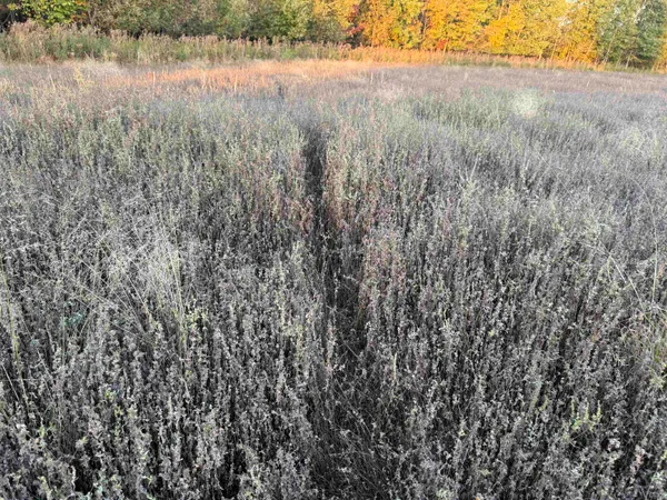$109,900 | Lot 3 Eau Claire River Road, Ringle, WI 54471