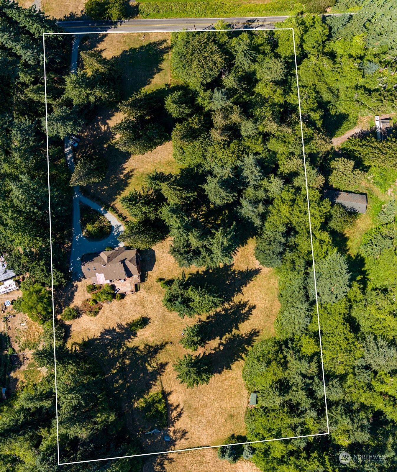 3550 Swede Hill Road Clinton, WA 98236 - Photo 35 of 40 a view of a tree in a backyard of a house