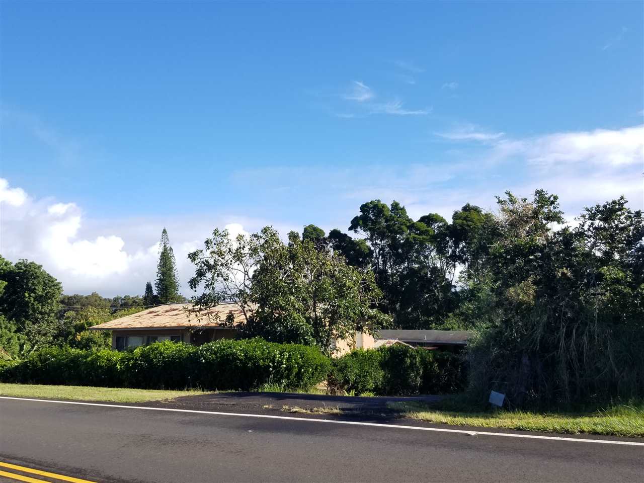 2165 Kokomo Road Haiku, HI 96708 - Photo 1 of 12 a view of a yard