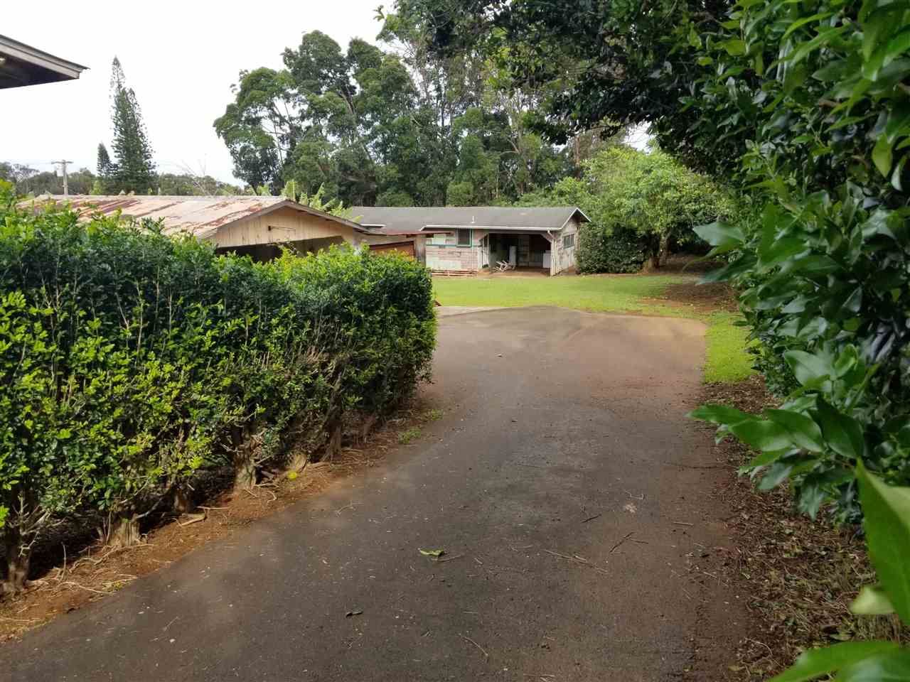 2165 Kokomo Road Haiku, HI 96708 - Photo 3 of 12 a view of a house with garden and patio
