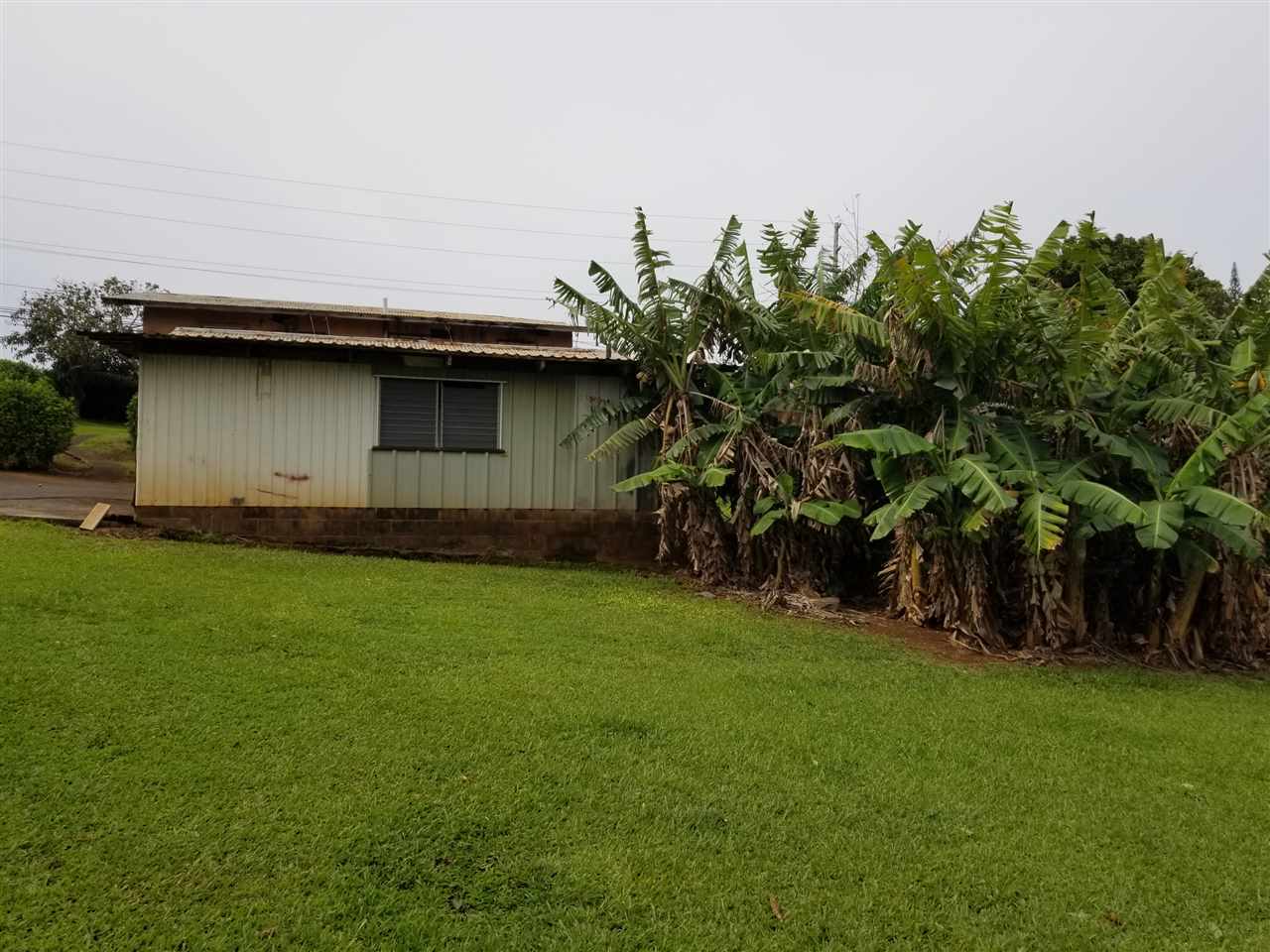 2165 Kokomo Road Haiku, HI 96708 - Photo 7 of 12 a backyard of a house with lots of green space