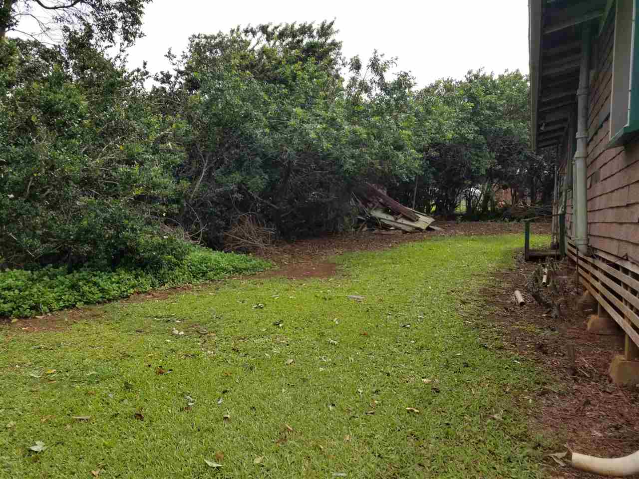 2165 Kokomo Road Haiku, HI 96708 - Photo 9 of 12 a view of a backyard
