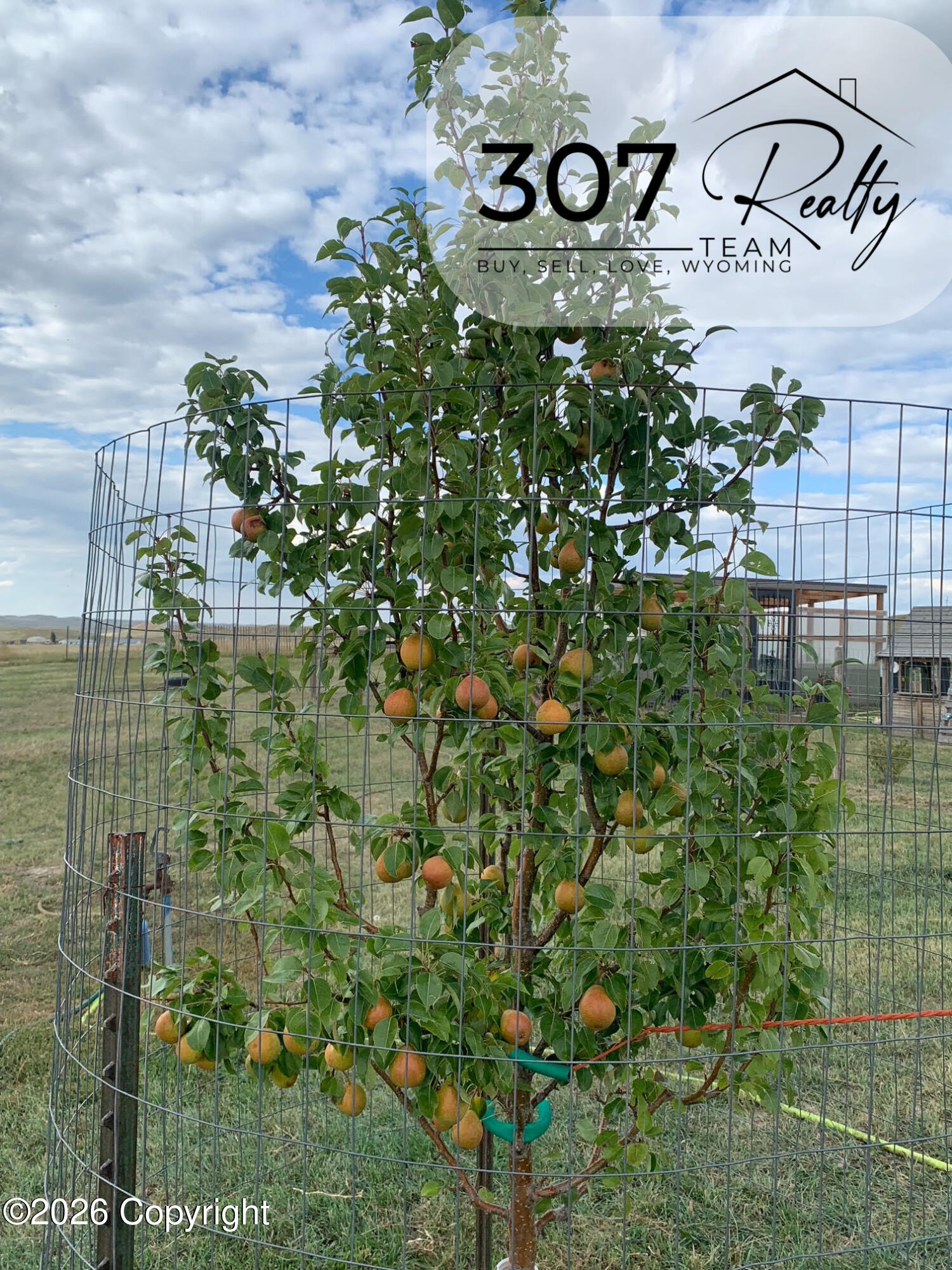 33 Bald Mountain Road Gillette, WY 82716 - Photo 101 of 103 Gallery Image 101