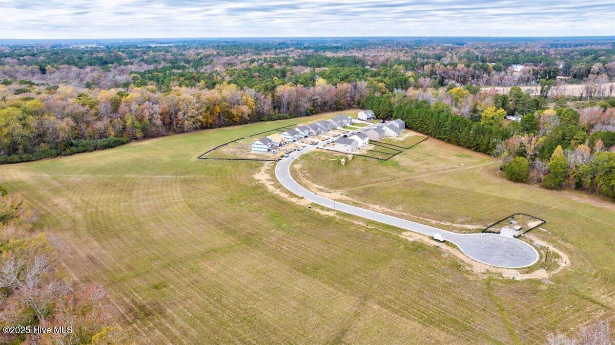 10663 Beard Way Bailey, NC 27807 - Photo 53 of 54