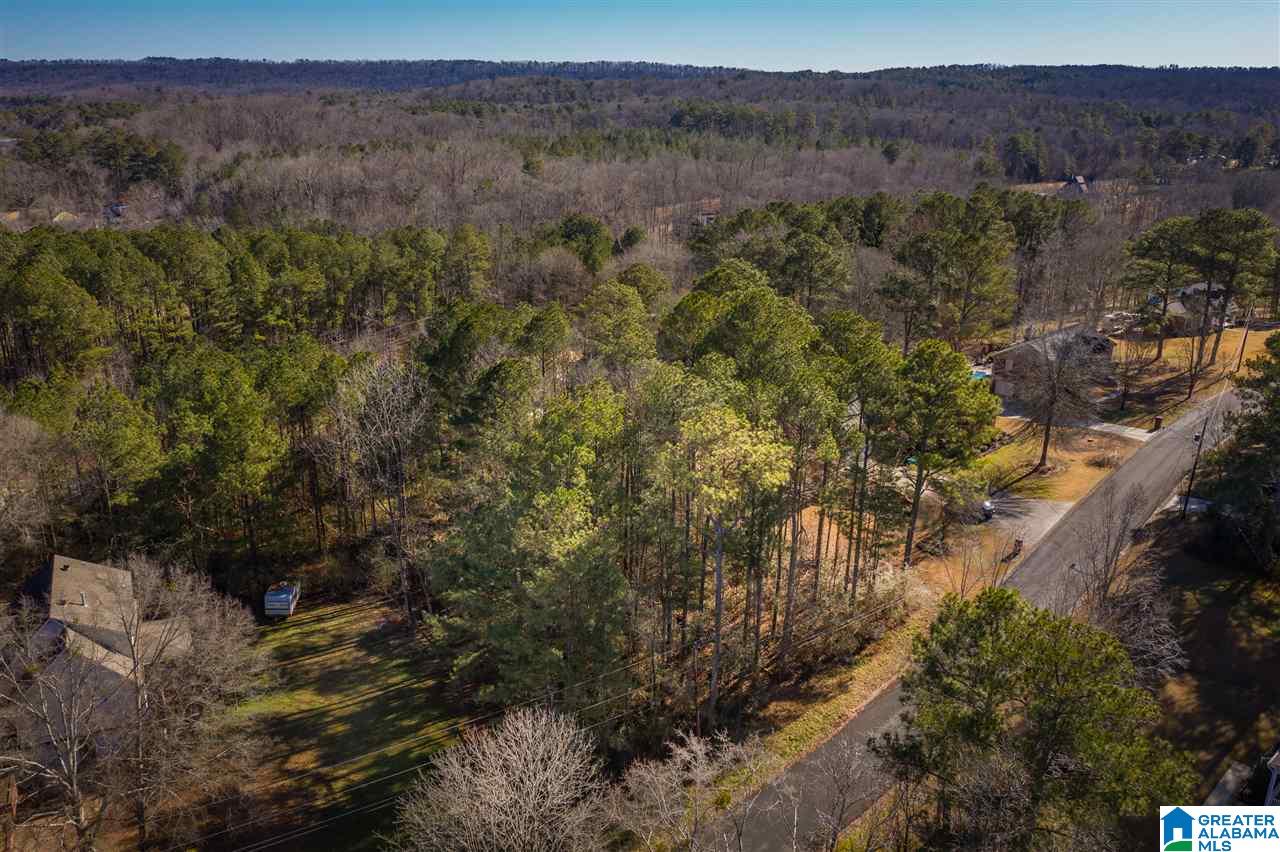0 Scenic Trail, Unit 1 Oneonta, AL 35121 - Photo 7 of 18