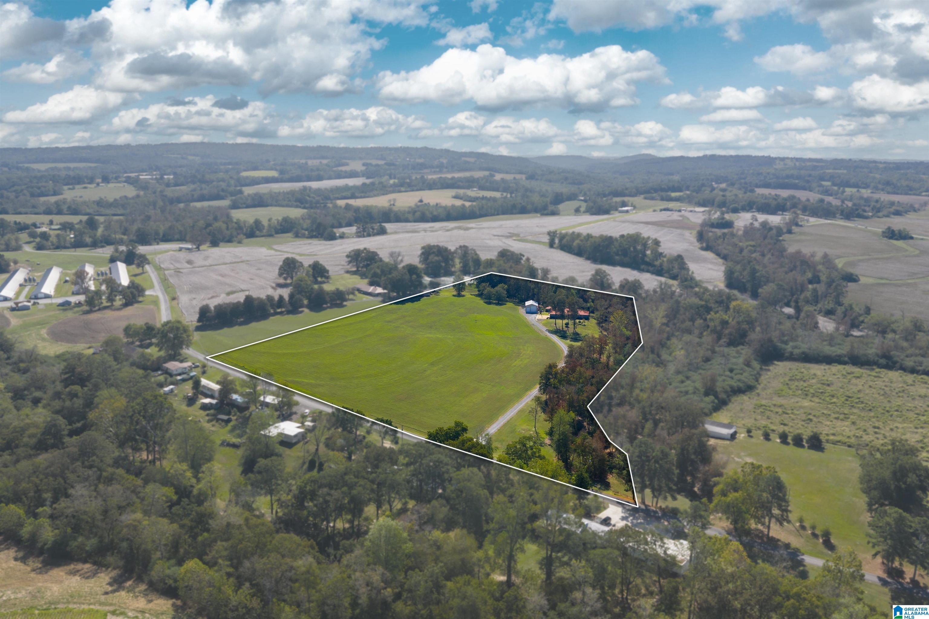 244 Mount Carmel Road Guntersville, AL 35976 - Photo 13 of 58