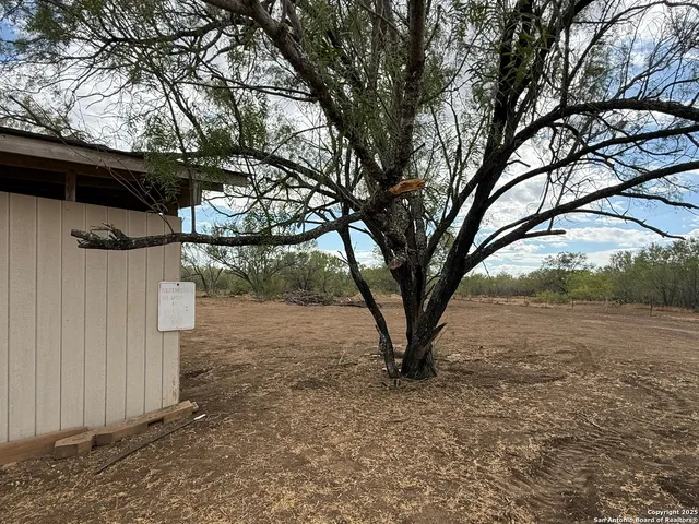 a view of a yard with a tree