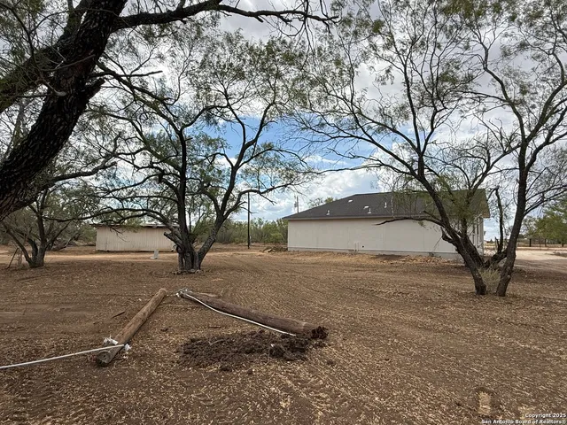 a backyard of a house with large trees and a large tree