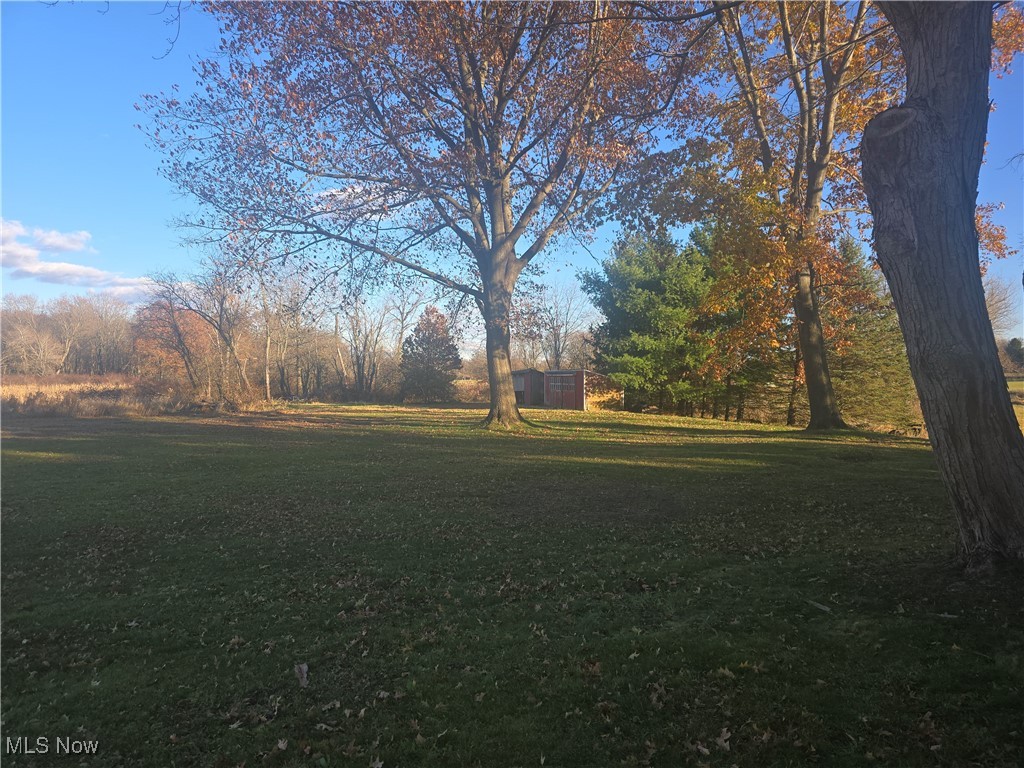 1254 Aberagg Road Atwater, OH 44201 - Photo 3 of 25 View of beautiful rear yard