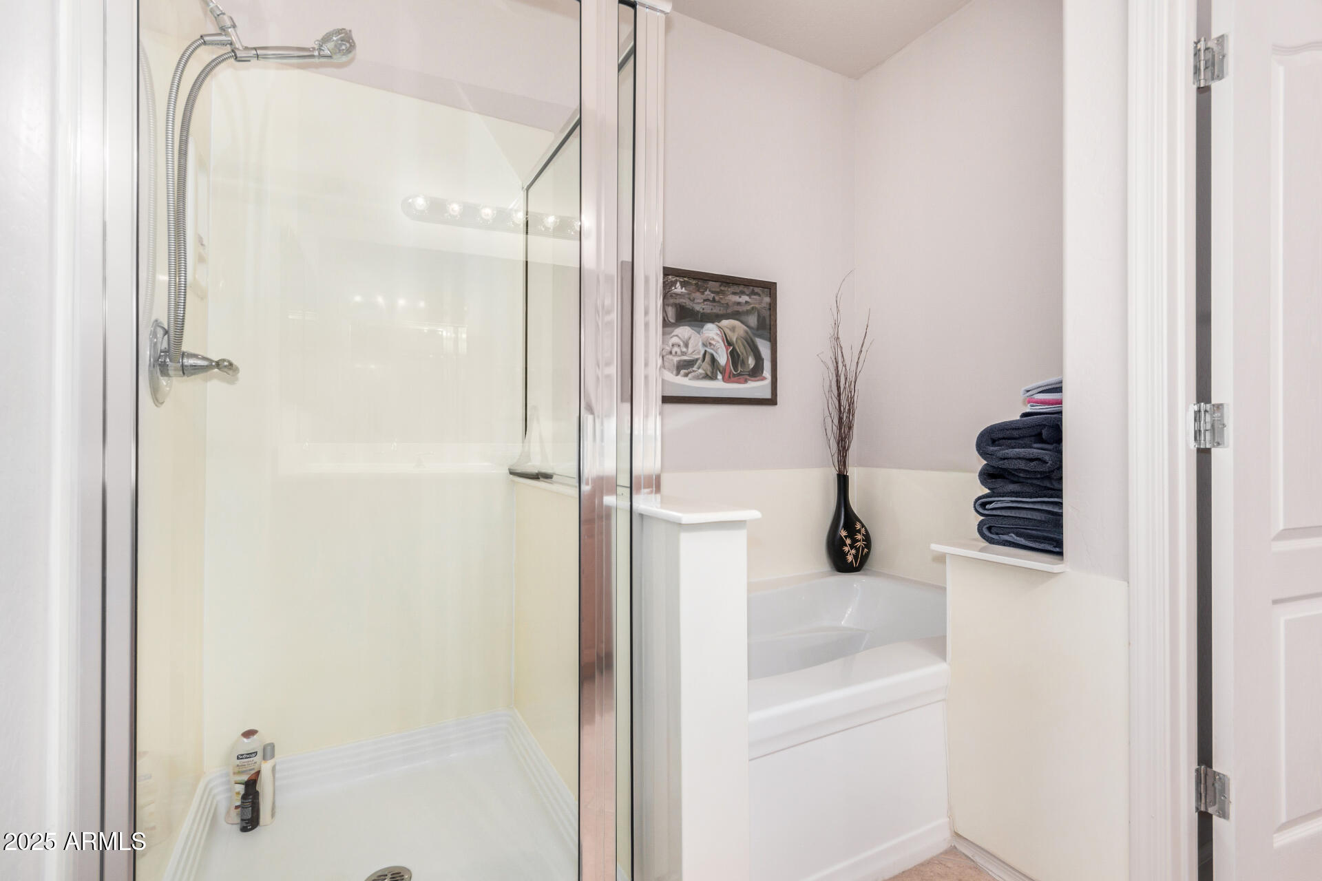 705 West Queen Creek Road, Unit 2062 Chandler, AZ 85248 - Photo 16 of 24 Master Bath