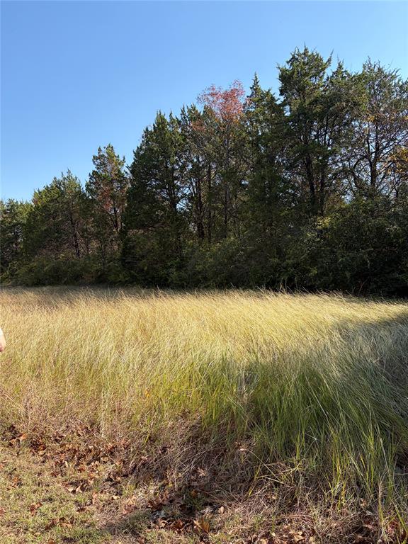 a view of outdoor space and trees