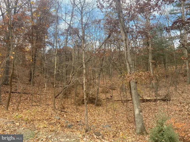 a view of a bathroom shower