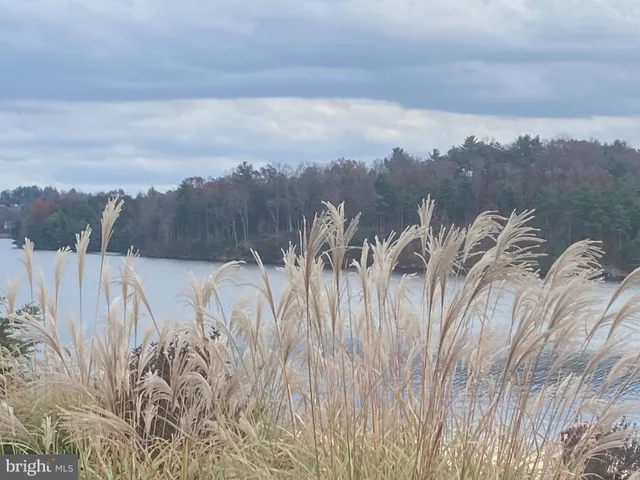 a view of a yard with a mountain