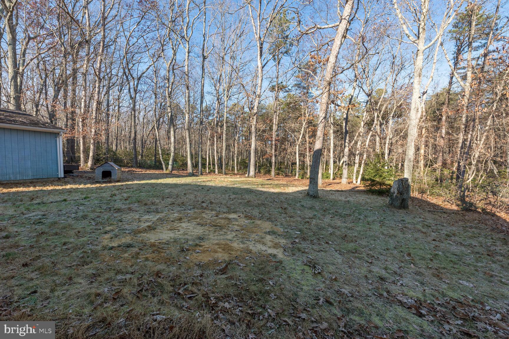 67 Bozarthtown Road Tabernacle, NJ 08088 - Photo 27 of 32 Rear Yard