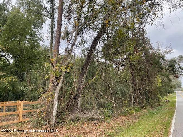 0 Mitchell Road Brooksville, FL 34601 - Photo 3 of 12