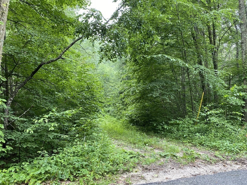 1 May Hill Road Monson, MA 01057 - Photo 1 of 6
