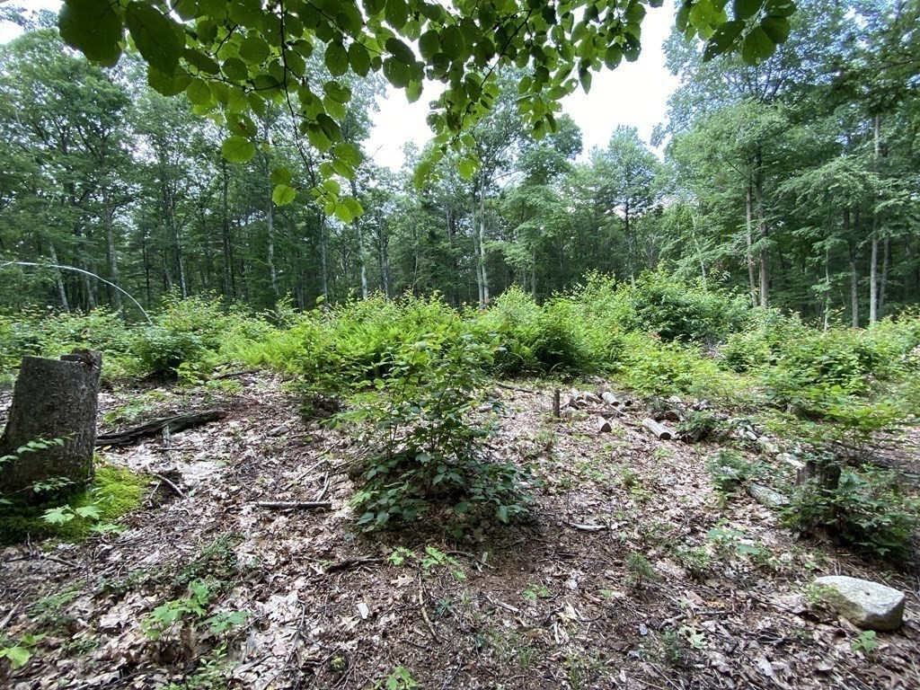 1 May Hill Road Monson, MA 01057 - Photo 4 of 6