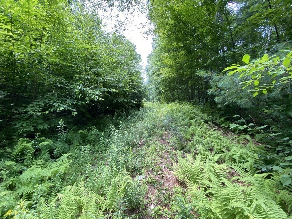 1 May Hill Road Monson, MA 01057 - Photo 5 of 6
