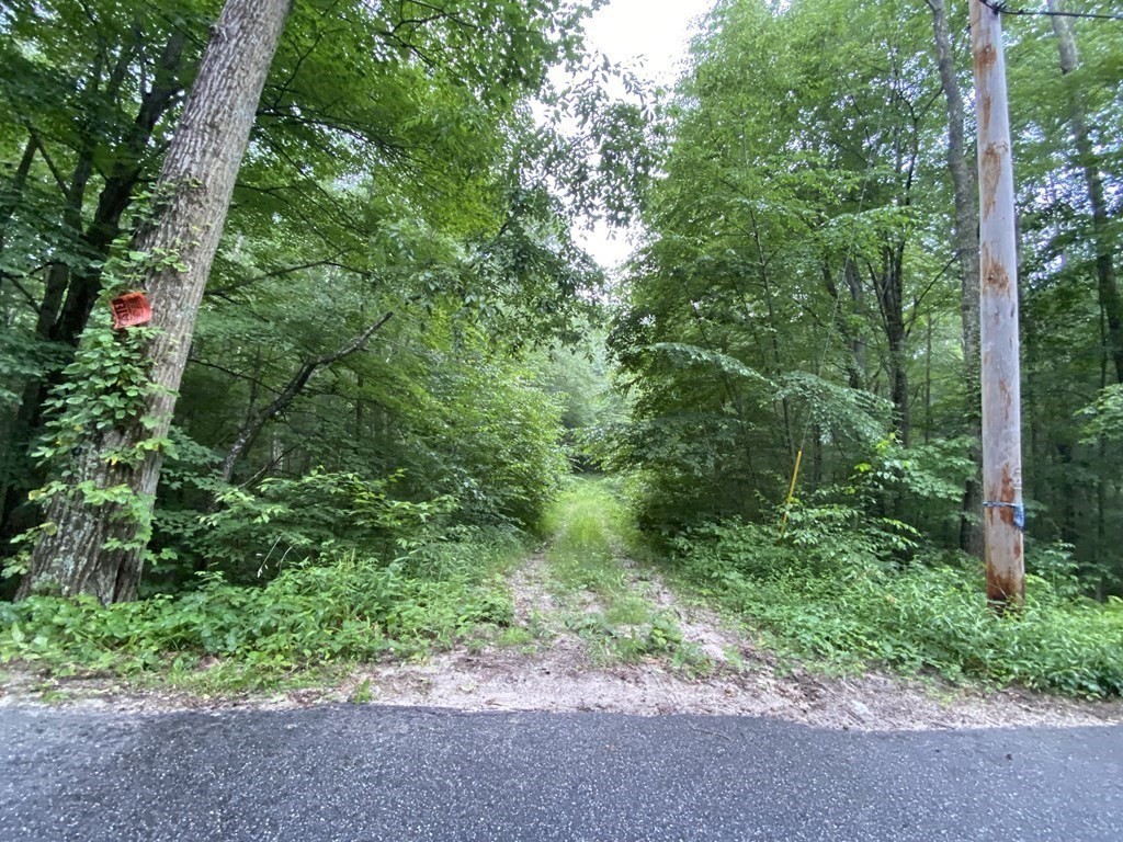 1 May Hill Road Monson, MA 01057 - Photo 6 of 6