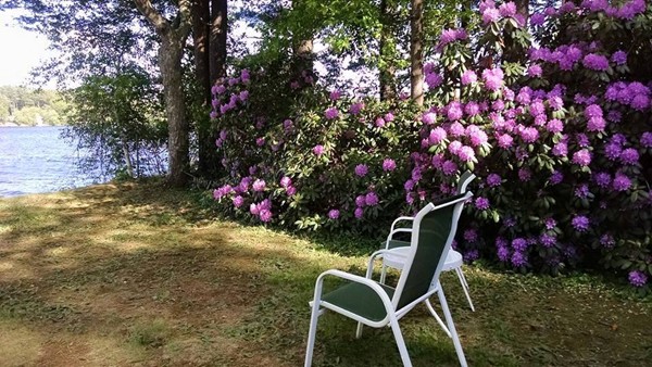19 Point Of Pines Road Freetown, MA 02717 - Photo 2 of 30 Gallery Image 2