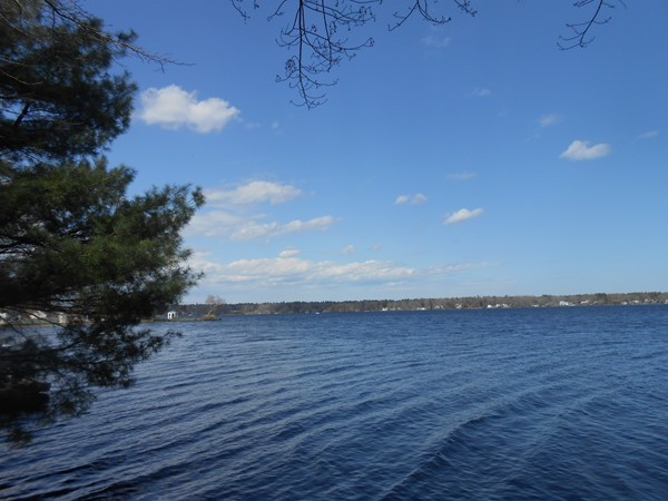 19 Point Of Pines Road Freetown, MA 02717 - Photo 5 of 30 Gallery Image 5