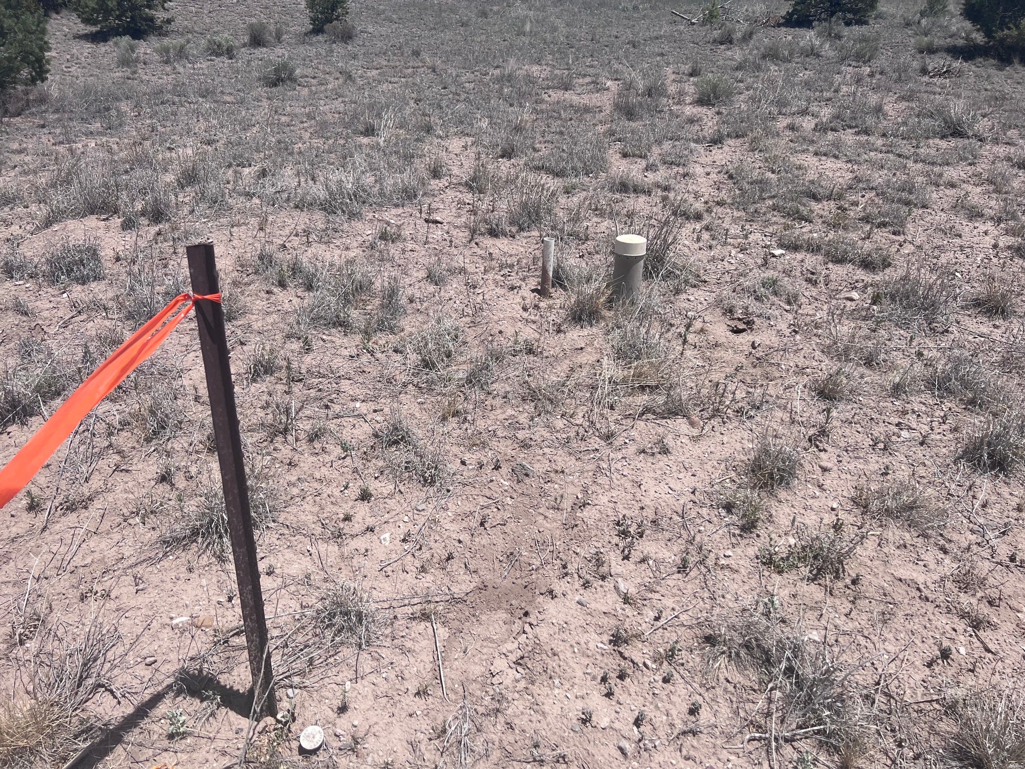 0 Omega Road, Unit 24 Quemado, NM 87829 - Photo 5 of 23 Gallery Image 5