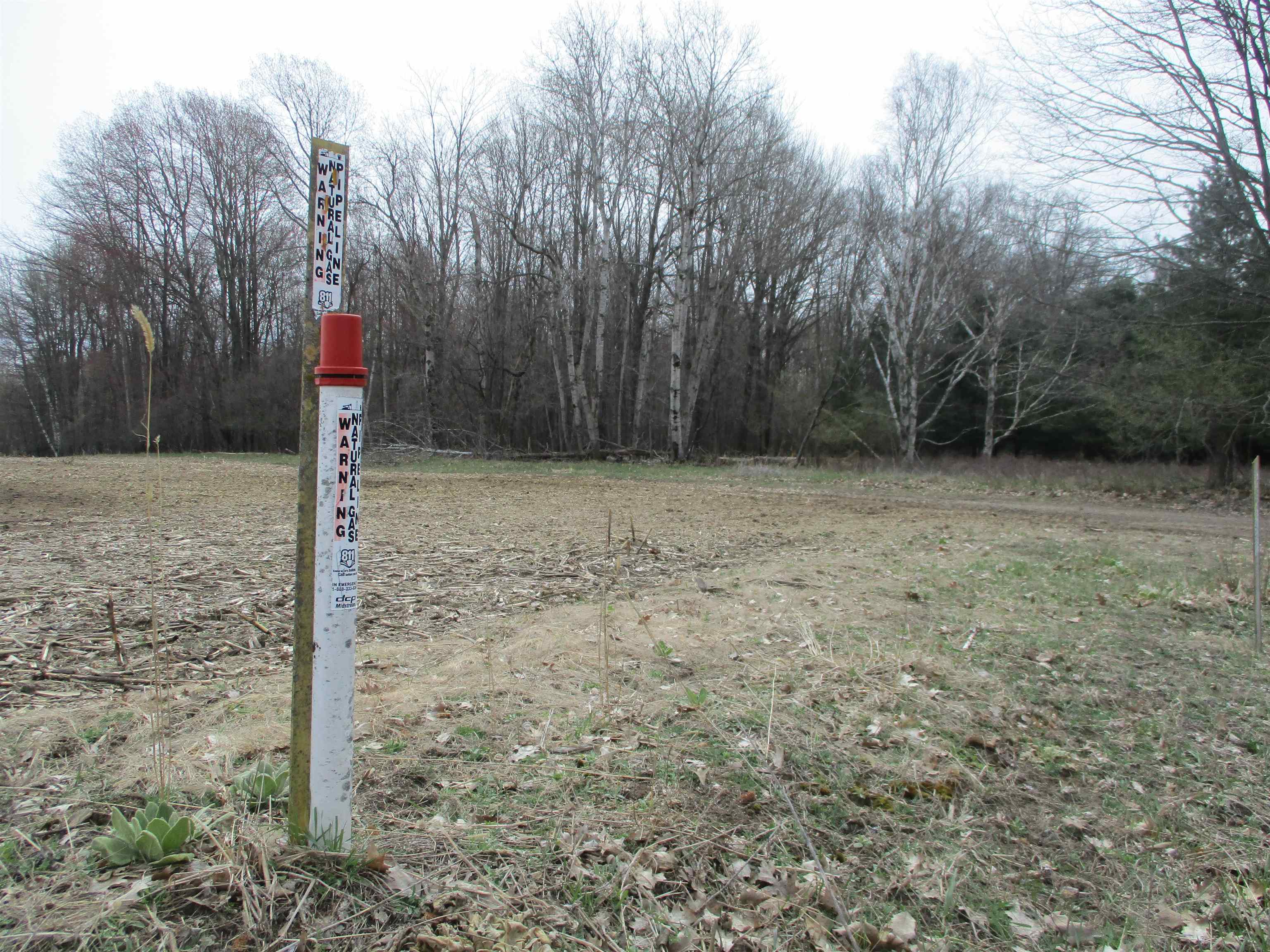 0 Peterson Road Prescott, MI 48756 - Photo 17 of 17 1921450-d0e54907-138d-4146-8898-85db6072eb6b.JPG