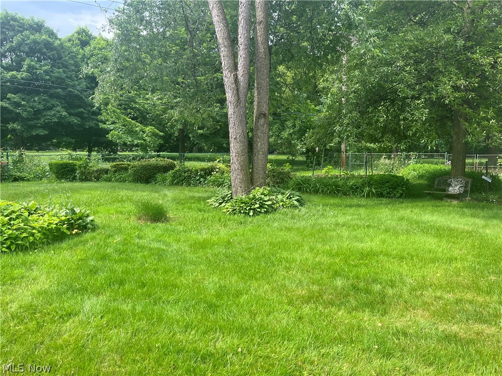 934 Herrick Road Cleveland, OH 44108 - Photo 3 of 9 View of yard