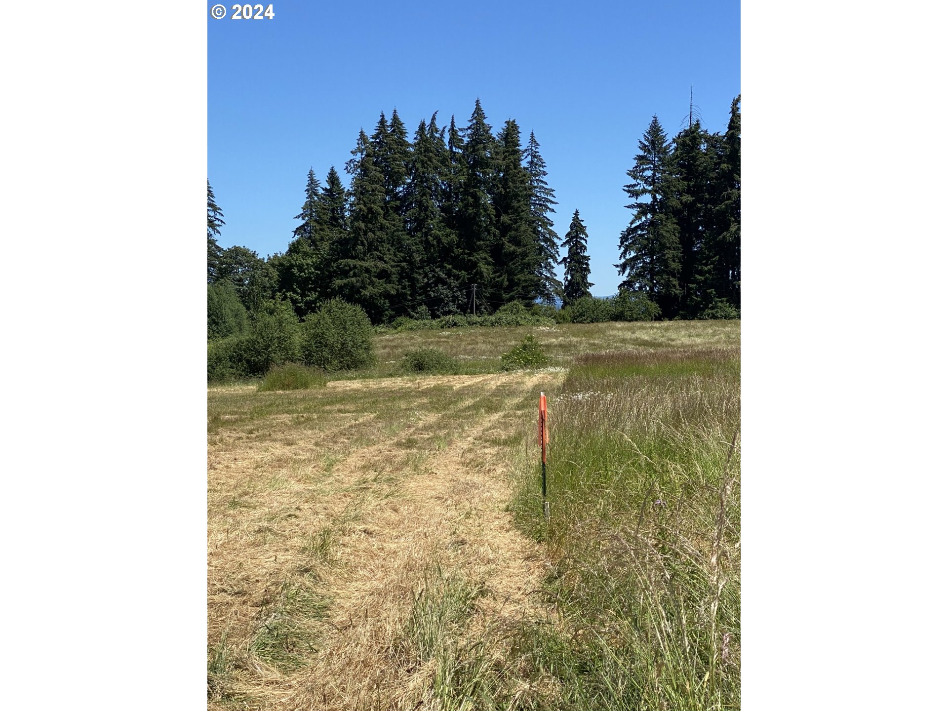 0 Northeast 29th Avenue Ridgefield, WA 98642 - Photo 10 of 10