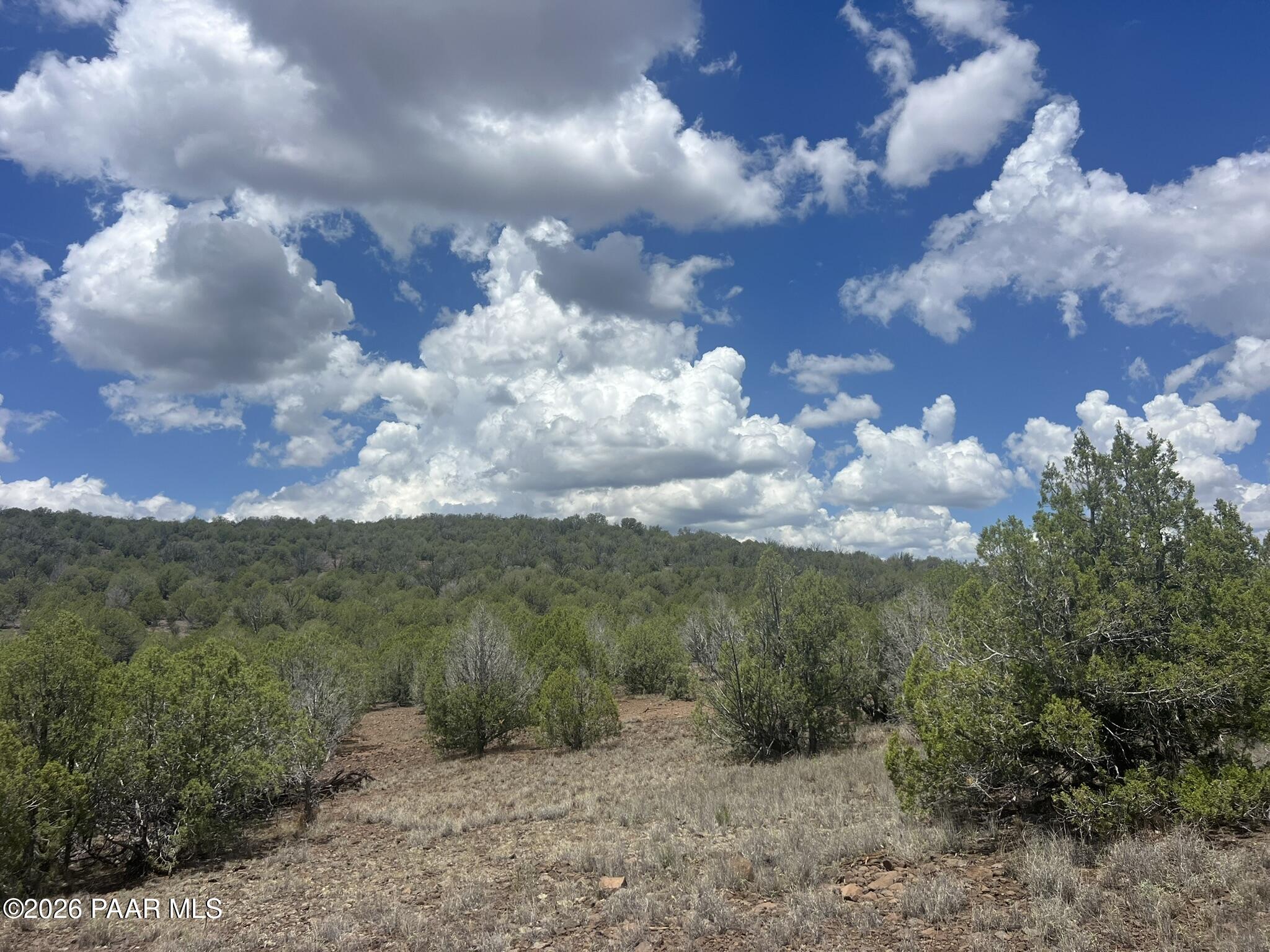 82 Mathis Road Ash Fork, AZ 86320 - Photo 17 of 17 IMG_0374