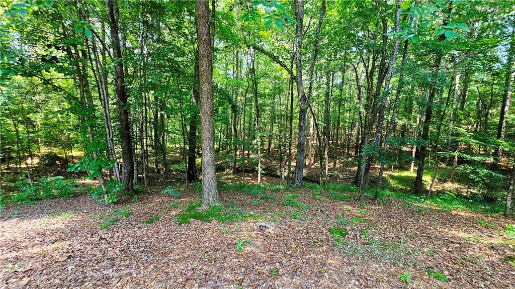 43 Ivy Mist Lane Acworth, GA 30101 - Photo 37 of 58 a view of a park with large trees