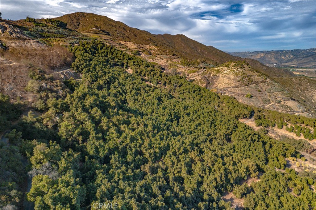 49 Maridge Rd Valley Center Valley Center, CA 92082 - Photo 3 of 9