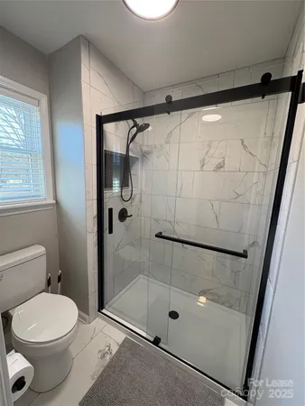 a bathroom with a shower and a toilet