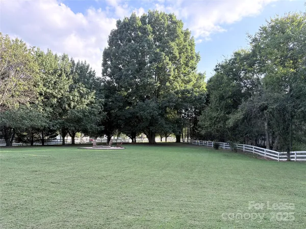 a view of a park with large trees