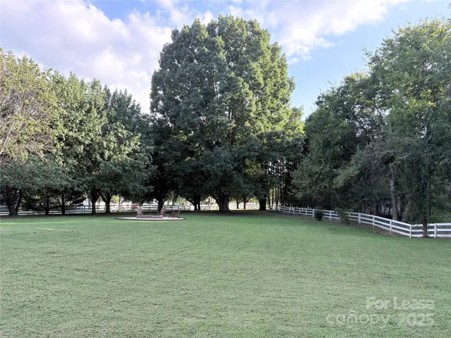 a view of a park with large trees