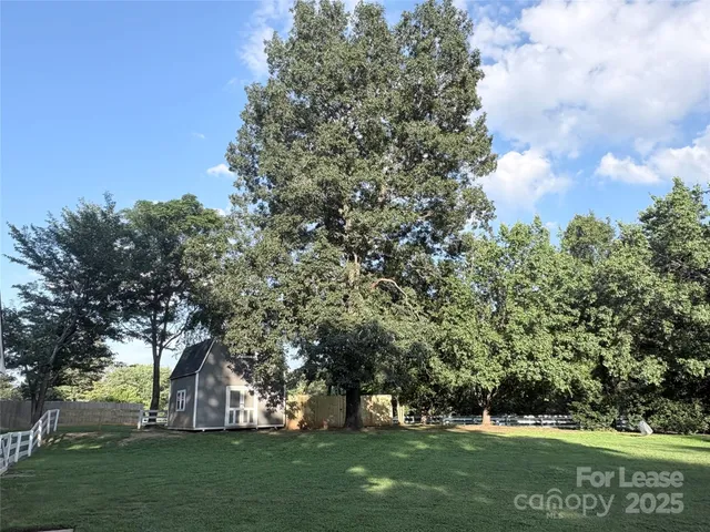 a view of green field