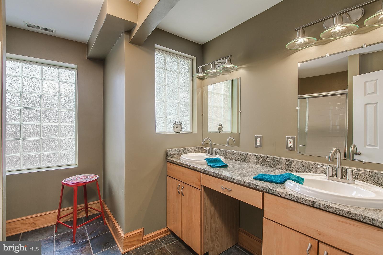 217 Center Street Frederick, MD 21701 - Photo 17 of 30 Bath